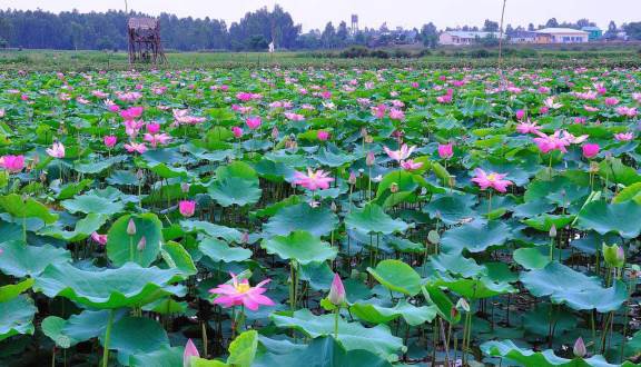 CHÂU ĐỐC - HÀ TIÊN - PHÚ QUỐC