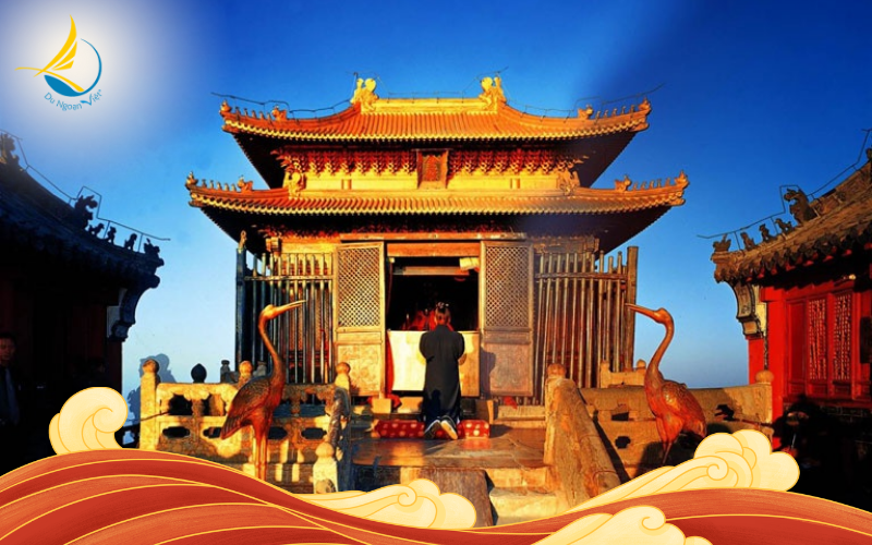 NX-VD.0504.QingDao.TOP